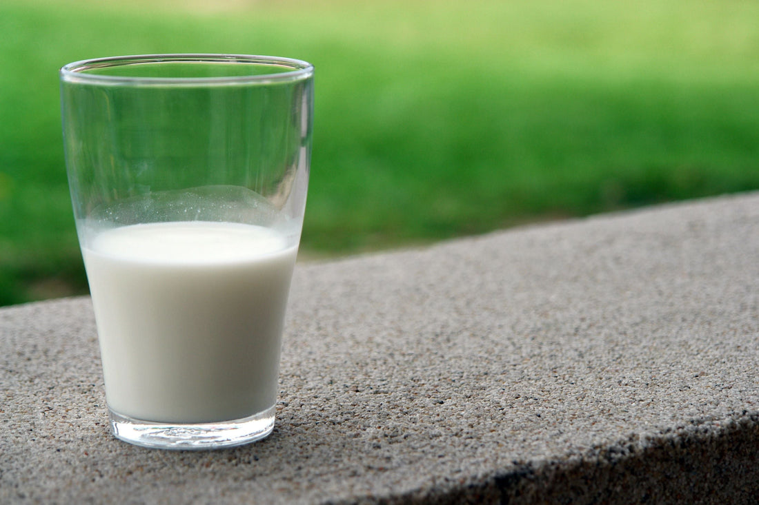 Welche Milch enthält wie viel Laktose?