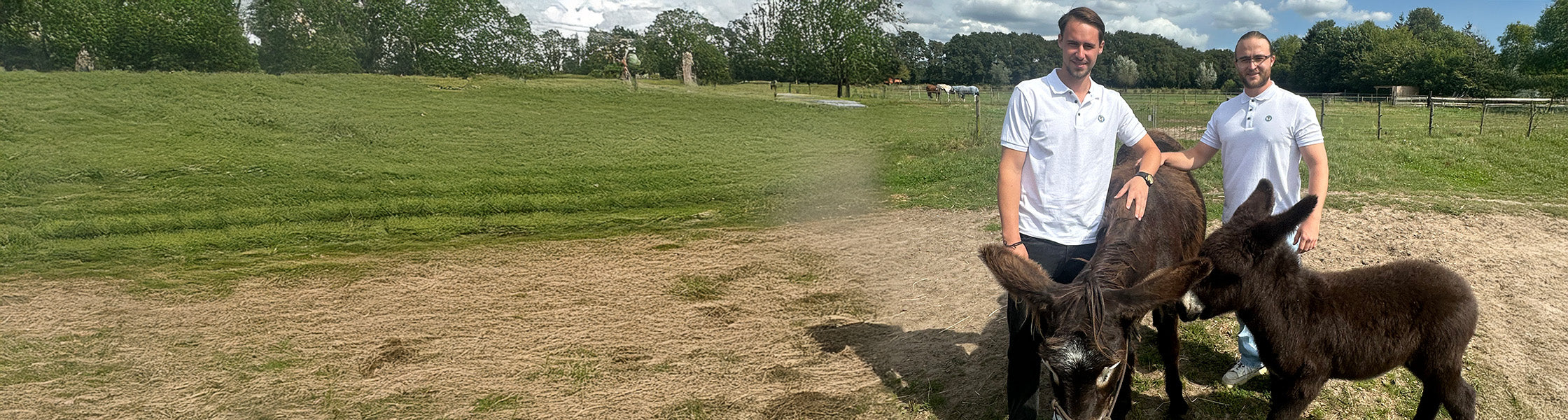 Brüder Brian und Justin auf einem Eselsmilch-Hof — DON DONKEY'S Gründer